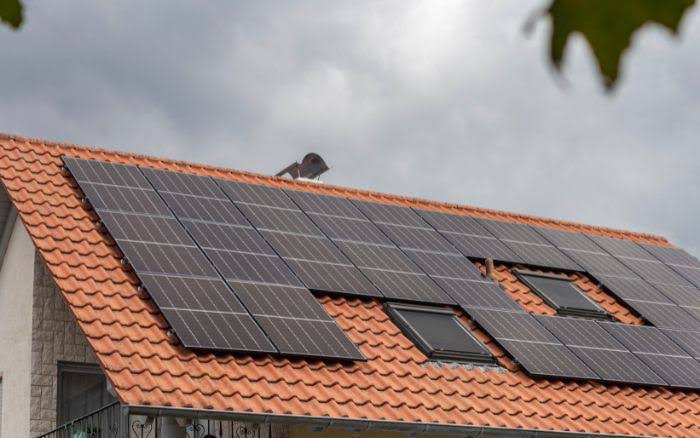 best solar panel deals brisbane
